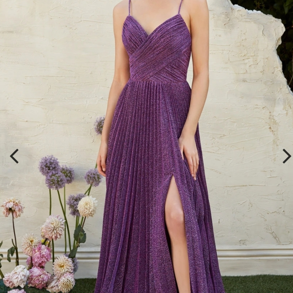 Cinderella devine Valentina gown